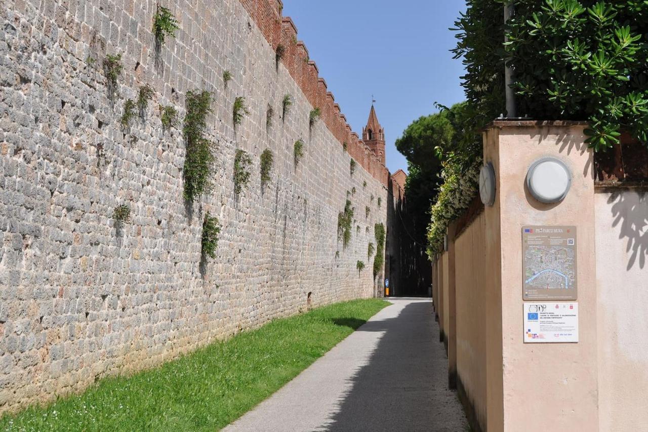 Apartmán La Casa Di Dario, Dario'S House. Pisa Exteriér fotografie